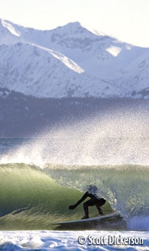 Surfing Alaska photo - Cold water and snow covered mountains