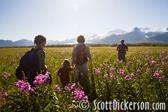 Hikers in Halo Bay, Katmai National Park.