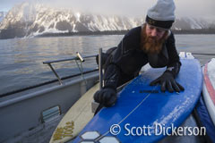 Surfer waxes his board at Bear Glacier, Alaska.