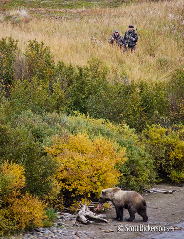 Bear hunters it Katmai National Preserve