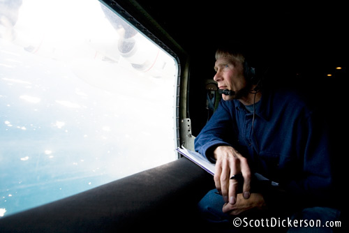 Polar bear biologist Steve Amstrup searches for swimming polar bears out the window of a US Coast Guard C-130 while flying over the Chukchi Sea in the Arctic above Alaska.