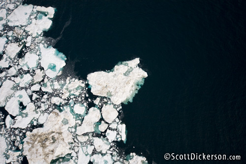 Aerial photo of melting Arctic ice floes in the Chukchi Sea, Alaska. This disappearing sea ice is important habitat for polar bears.