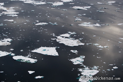 Aerial photo of melting Arctic ice floes in the Chukchi Sea, Alaska. This disappearing sea ice is important habitat for polar bears.