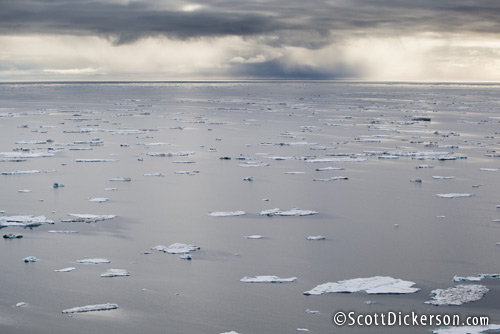 Aerial photo of melting Arctic ice floes in the Chukchi Sea, Alaska. This disappearing sea ice is important habitat for polar bears.