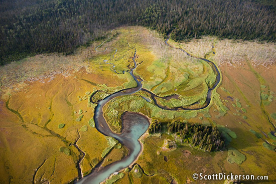 Aerial photography from a powered paraglider or Paramotor in Alaska.