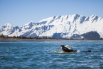 Surf adventure Alaska, Scott Dickerson Photography