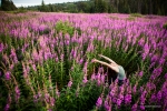 Yoga Outdoors, Alaska, Scott Dickerson Photography