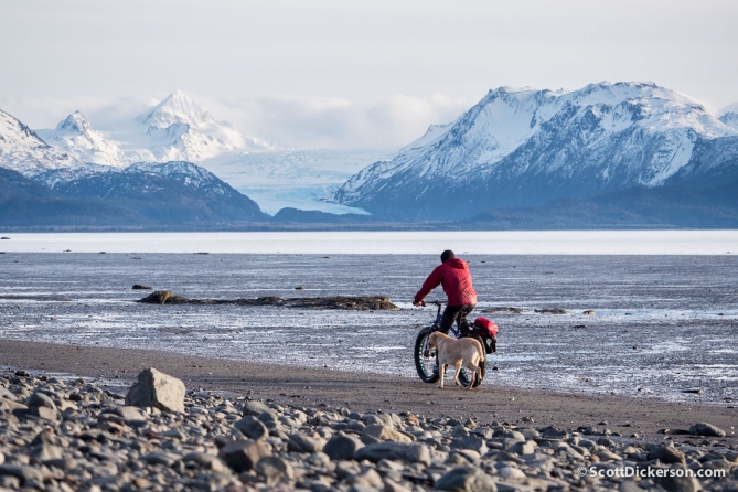 Fat tire biking a beach in Alaska