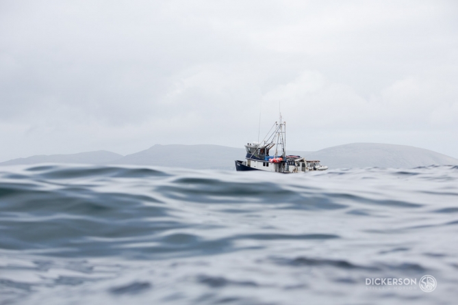 m/v Milo on a surf adventure in Alaska