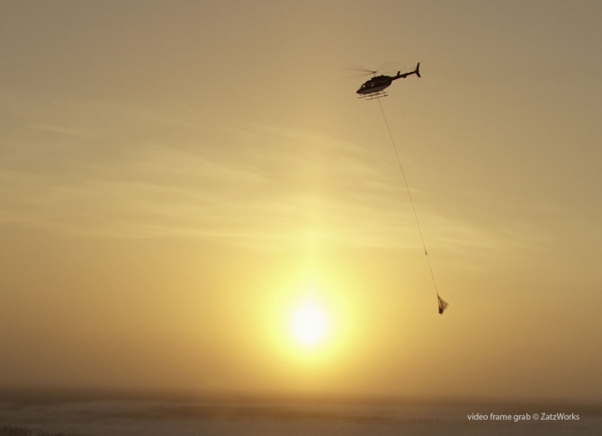 Aerial video frame grab of polar bear airlift operation