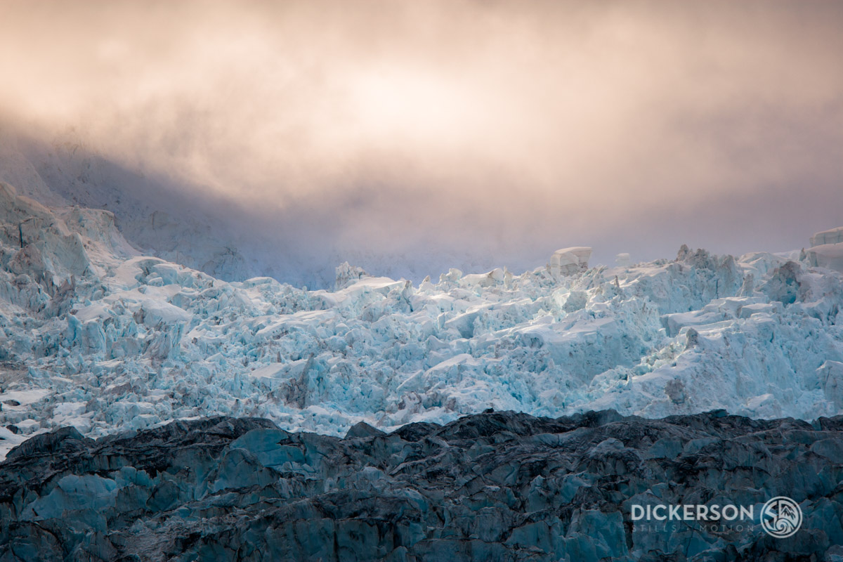 Kenai Fjords Wildlife Tour